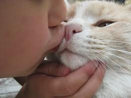 Human kissing cat