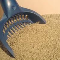 Kitty litter with scoop