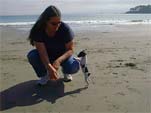 Judy and Ladybug at San Simeon Beach