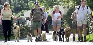 People walking dogs by lake