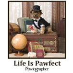 Life Is Pawfect book cover