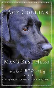 Mans Best Hero book cover