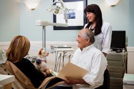 Mona sitting on lap of dental patient