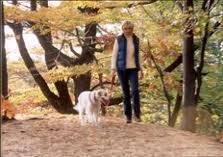 Woman walking dog in woods