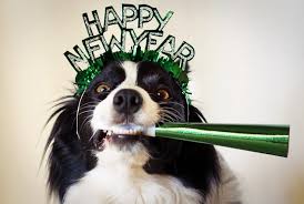 Dog Celebrating New Year
