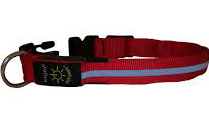 LED Light-Up Dog Collar