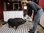 Stacy Kimball with Oscar the pig 
