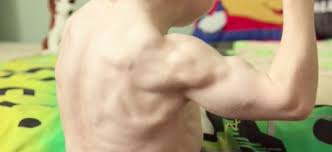 Owen's muscles