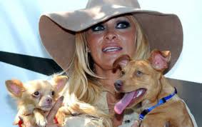 Pamela Anderson  with dogs Gina Lollabrigida and Brigette Bardot