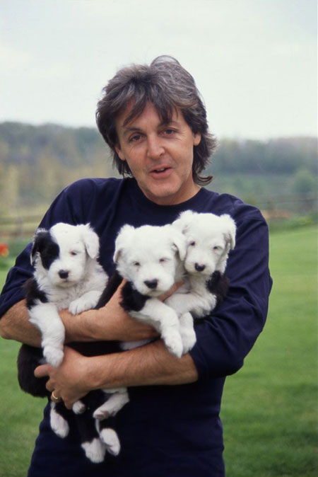 Sir Paul McCartney says Beatles song has stuff only your dog can hear in it