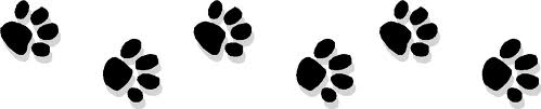 Paw Prints.646