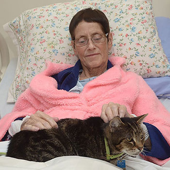 Cat Visiting Patient in Hospital