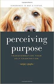 Perceiving Purpose Book Cover