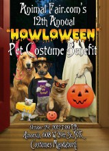 Pet Costume Benefit.672