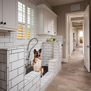 Pet Friendly Housing on Animal Radio