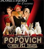 Popovich Comedy Pet Theater