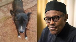 Dog and President Muhammad Buhari 