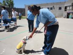 Dogs with Female Inmates