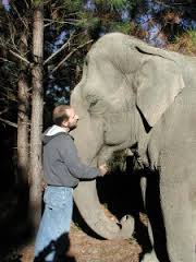 Scott Blais with elephant