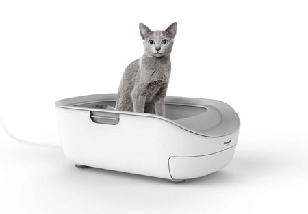 Sharp Cat Toilet