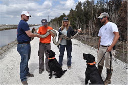 Snake sniffing Eco Dogs.650
