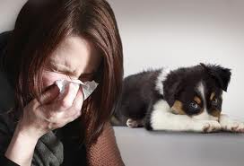 Girl with dog sneezing
