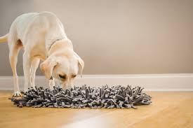 Snuffle Mat