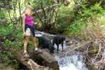 Theresa with her two black labs