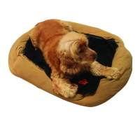 Dog on thermaFure dog bed