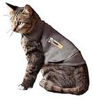 Cat wearing Thunderhsirt.649