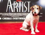 Uggie from the Artist