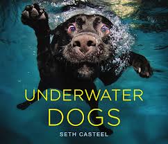 Underwater Dogs book cover