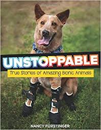 Unstoppable Book Cover