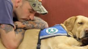 Veteran and Dog