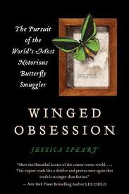 Winged Obsession book cover.648