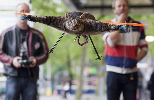 Caticopter