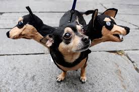 Pet Costumes