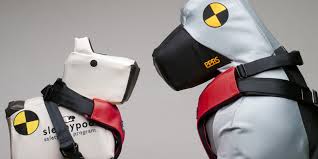 Crash Test Dogs