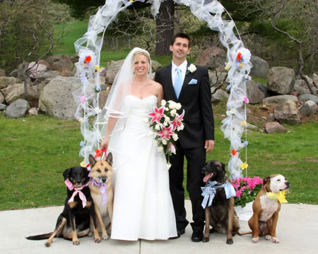 Dogs at Weddings