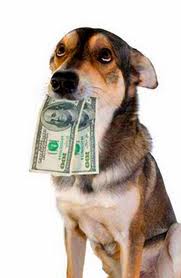 Dog Eats Money