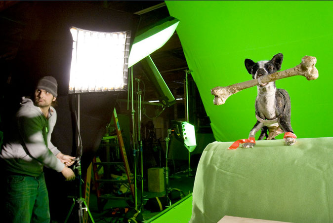 Animal Radio® goes behind the scences for Hotel for Dogs