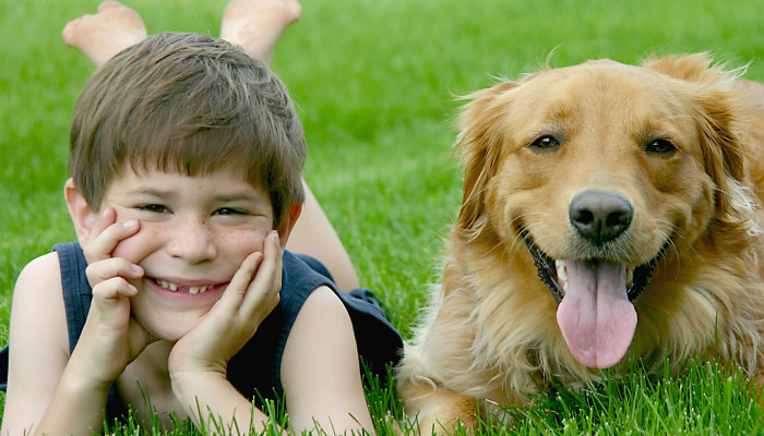 Kids prefer pet over sibling