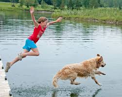 Lake Algae Harmful for Dogs