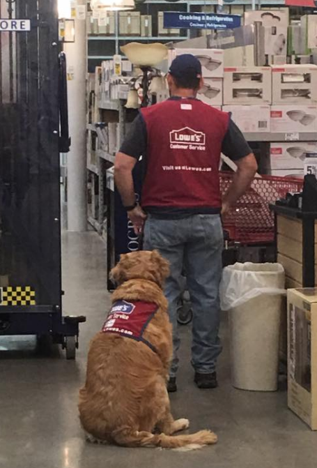 Lowes hires dog and human