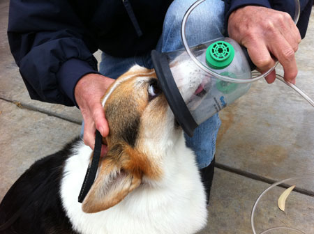 Donating Masks To First Responders