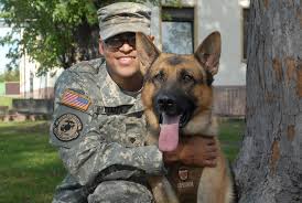 New legislation for Military Dogs