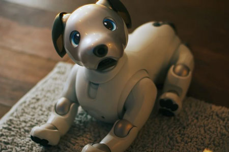 Dog Robot