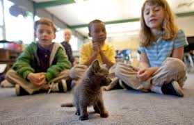 Pets in the Classroom