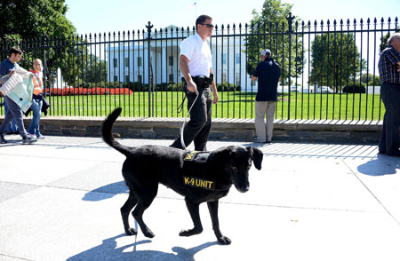 Secret Service Dogs Revealed on Animal Radio