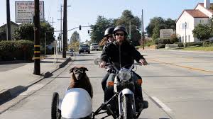 Side Car Dogs